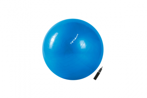 Bola de Exercícios 55 cm - Poker - Código 293-1-1